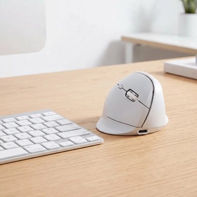 Souris ergonomique
